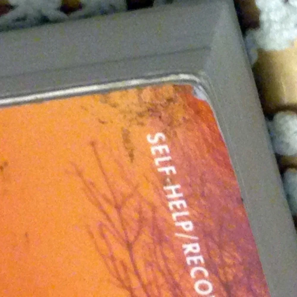 Book Sale! 3 for $10! Addiction Recovery, Out of the Woods